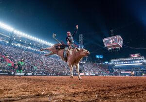 Etapa Master de rodeio da PBR começa hoje na Expogenética MS e vai até sábado, dia 2