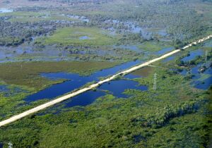 Decisão do STF sobre critério para compensação de reserva legal destrava Código Florestal 