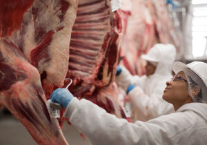 Abrafrigo: Brasil exporta 319,3 mil t de carne bovina em outubro, novo recorde mensal