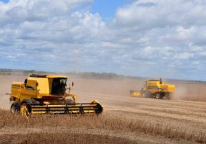 Produção agrícola de MS deve chegar a 75,3 milhões de toneladas na safra 2024/25