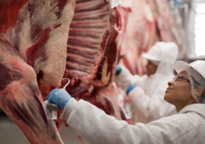 Exportações de MS chegam a US$ 4,28 bilhões em maio, com destaque para a celulose e carnes