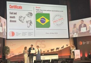 MS recebe certificado internacional de área livre de aftosa
