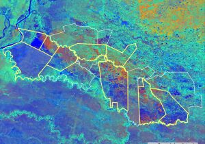 Nova regra ambiental e monitoramento via satélite ajudam a reduzir supressão vegetal no Pantanal