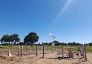 Primeira estação meteorológica instalada no Pantanal começa a transmitir dados
