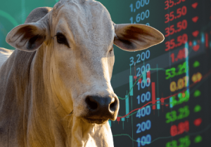 Mercado futuro sinaliza cautela em relação aos preços do 2&ordm; sem/25
