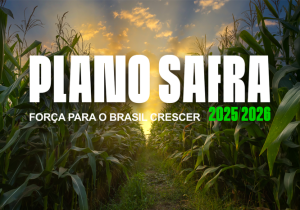 Governo Federal lança Plano Safra 2025/2026 com R$ 516,2 bilhões 