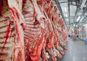 Exportação de carne bovina in natura bate recorde histórico em julho/25, mesmo com tarifaço dos EUA