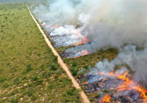 MS suspende queima controlada até novembro em todo o Estado e amplia restrição no Pantanal