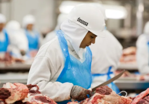 Exportação de carne bovina cresce quase 50% em Paranaguá