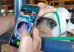 Acrissul recebe criador da tecnologia que identifica bovinos pelo focinho 