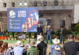 Maior leilão da história do rodeio brasileiro: PBR venderá 50% de um touro a investidores