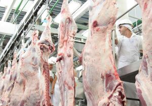 Exportações de MS crescem 4,24% no acumulado de janeiro a outubro de 2025