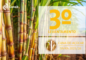 Restrição hídrica impacta produção de cana estimada em 666,4 milhões de toneladas na safra 2025/26