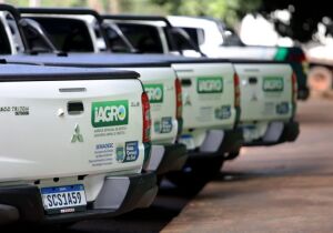 Produtores de MS podem renegociar multas ambientais e sanitárias com Iagro e Imasul com descontos