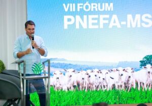 Fórum do PNEFA marca nova etapa da pecuária após reconhecimento internacional da aftosa sem vacina