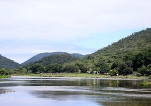 Aprovada a criação da MS Ativos Ambientais, empresa que passa a gerir o patrimônio natural do Estado