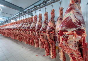 Indústria da carne bovina confia em abertura do mercado japonês para o primeiro semestre de 2026