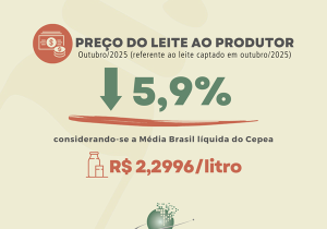 Cepea: preço do leite ao produtor cai pelo 7&ordm; mês seguido