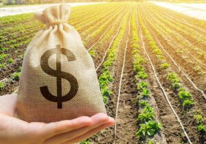 Nova norma técnica da reforma tributária acende alerta no agro para 2026