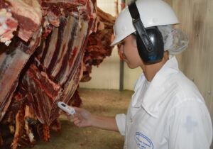 Pecuária de MS fecha 2025 com aumento de 4,52% nos abates