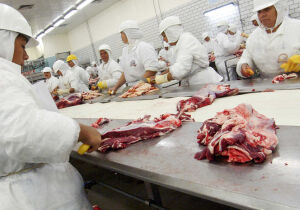 Exportações de MS batem recorde histórico e somam US$ 10,7 bilhões em 2025