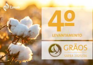 Produção de grãos e área plantada da safra 2025/26 mantém perspectiva de novos recordes