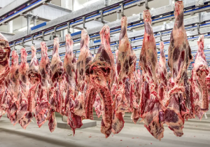 Plano prevê divisão de cotas de exportação de carne para a China até setembro