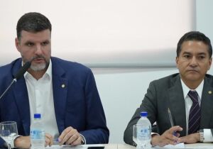 "Acordo não pode tirar a capacidade do produtor brasileiro de abastecer mercados", afirma Lupion