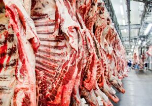 Corrida contra tarifas impulsiona exportação de carne bovina e Brasil quebra recorde em fevereiro
