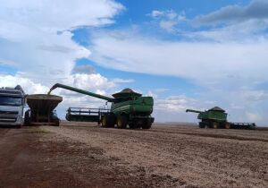 Colheita da soja e plantio do milho avançam em ritmo mais lento em MS