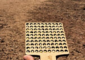 Colheita da soja alcança 6,2% e plantio do milho atinge 5,8% em MS