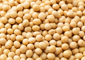 Aberturas de mercado para o Brasil no México e nas Filipinas