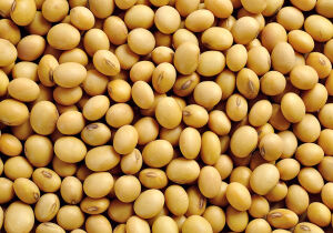 Escalada no Oriente Médio agita mercados e eleva custos no agronegócio