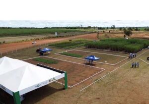 Jornada técnica na Expocanas destaca diversificação em solos arenosos