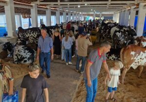 Acrissul promove a 86ª Expogrande de 9 a 19 de abril na Capital