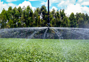 Monitoramento via satélite identifica áreas irrigadas a partir da umidade do solo