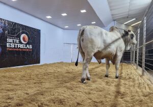 Expogrande 2026 movimenta R$ 854,5 milhões e consolida-se entre as maiores do País