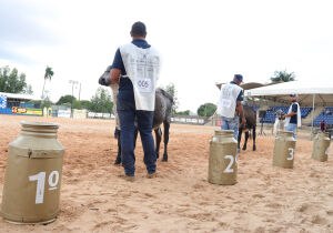 Girolando MS impulsiona setor com genética e shopping do leite na Expogrande