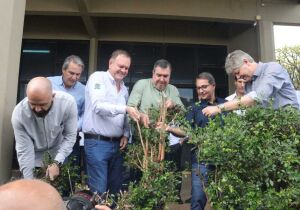 Para fortalecer cadeia da laranja, Riedel participa na Expogrande de remoção simbólica de murtas 