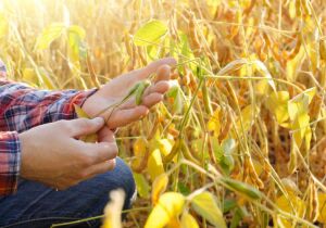 Frente fria deve derrubar temperaturas para até 4°C em algumas regiões
