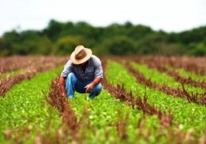Endividamento avança no campo após juros altos, perdas climáticas e queda da renda