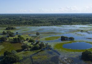 Pantanal reduz desmatamento em 48%, mostra o Mapbiomas