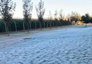 Iguatemi registra a mínima da manhã de hoje com 1 grau; frio persiste e fim de semana terá chuva