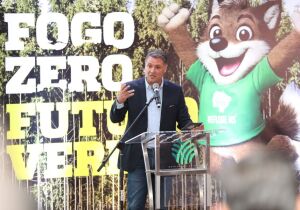 Campanha reforça combate aos incêndios florestais após MS reduzir em 89% área queimada