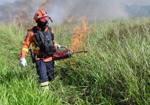 Para conservar e proteger biomas, MS realiza técnica de queima prescrita em parque estadual