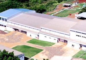 Retomada do frigorífico Balbino esbarra em impasse que ameaça 350 empregos