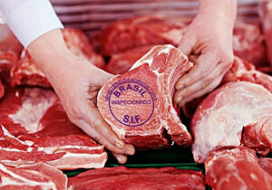 Carne bovina: Brasil preenche quase 80% da cota chinesa e deve esgotá-la em julho, prevê AgrifattO