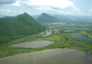 MS tem a menor área desmatada sem autorização do País nos últimos 7 anos, revela MapBiomas