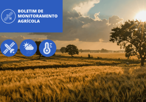 Boletim aponta índices de vegetação acima da média histórica nos cultivos de inverno