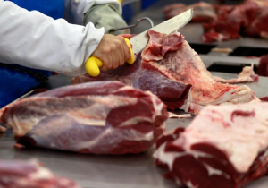 Carne bovina: Brasil exporta 324,35 mil toneladas em junho/26, volume recorde